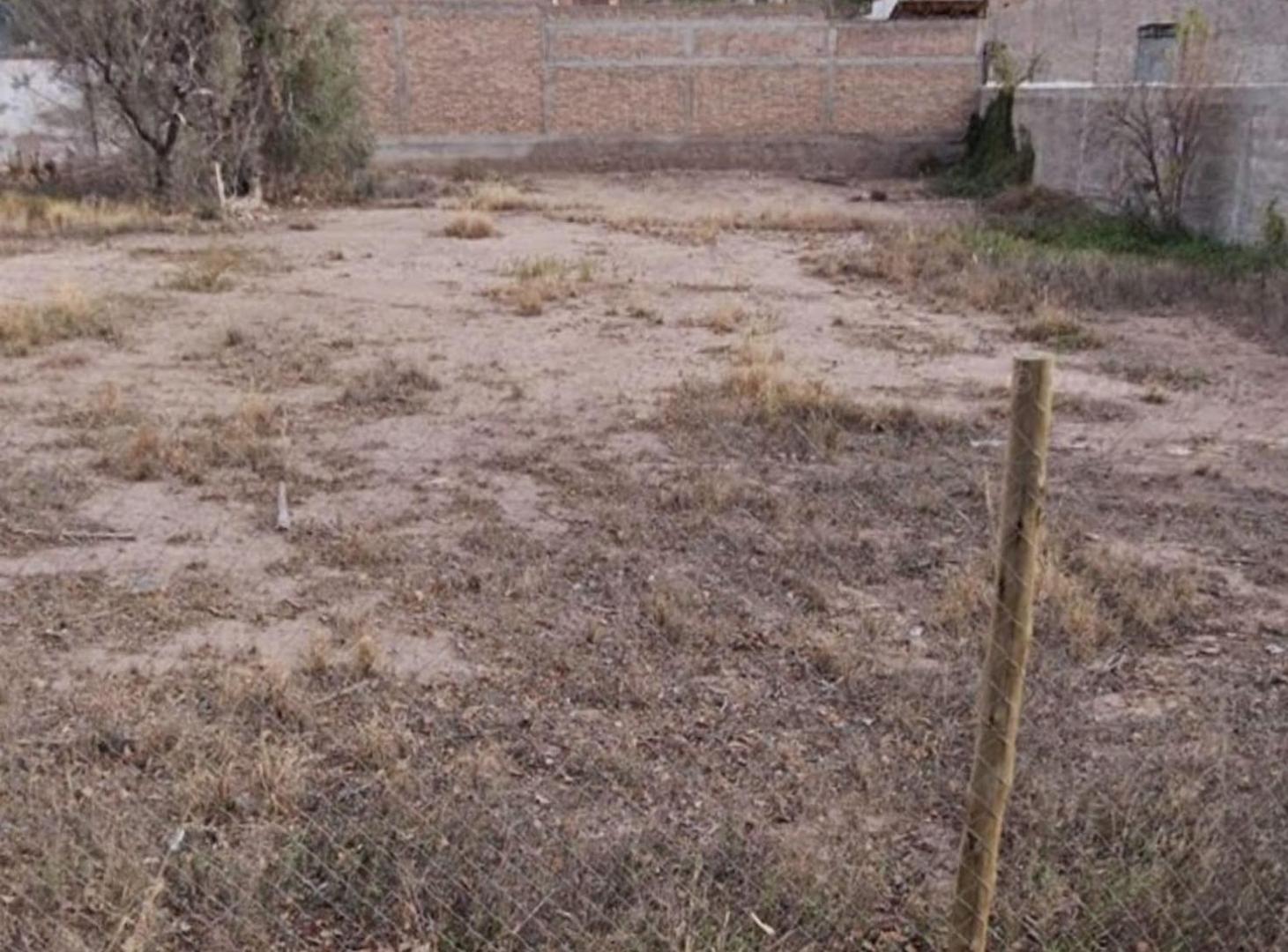 Foto de Lotes en Luján de Cuyo, imagen 4