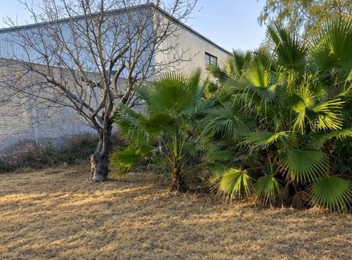 Foto de TERRENO EN LAS HERAS - ÁLVAREZ CONDARCO Y CONS., imagen 3