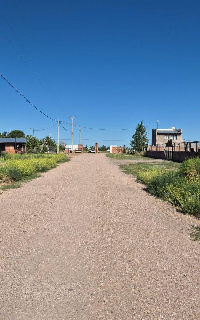Foto de VENTA TERRENO 2000 m2 -LAS PAREDES - SAN RAFAEL, imagen 3
