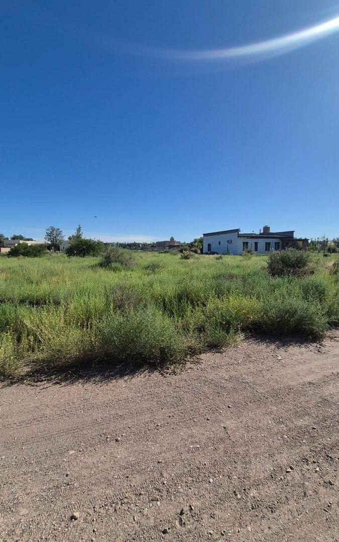 Foto de VENTA TERRENO 2000 m2 -LAS PAREDES - SAN RAFAEL, imagen 4