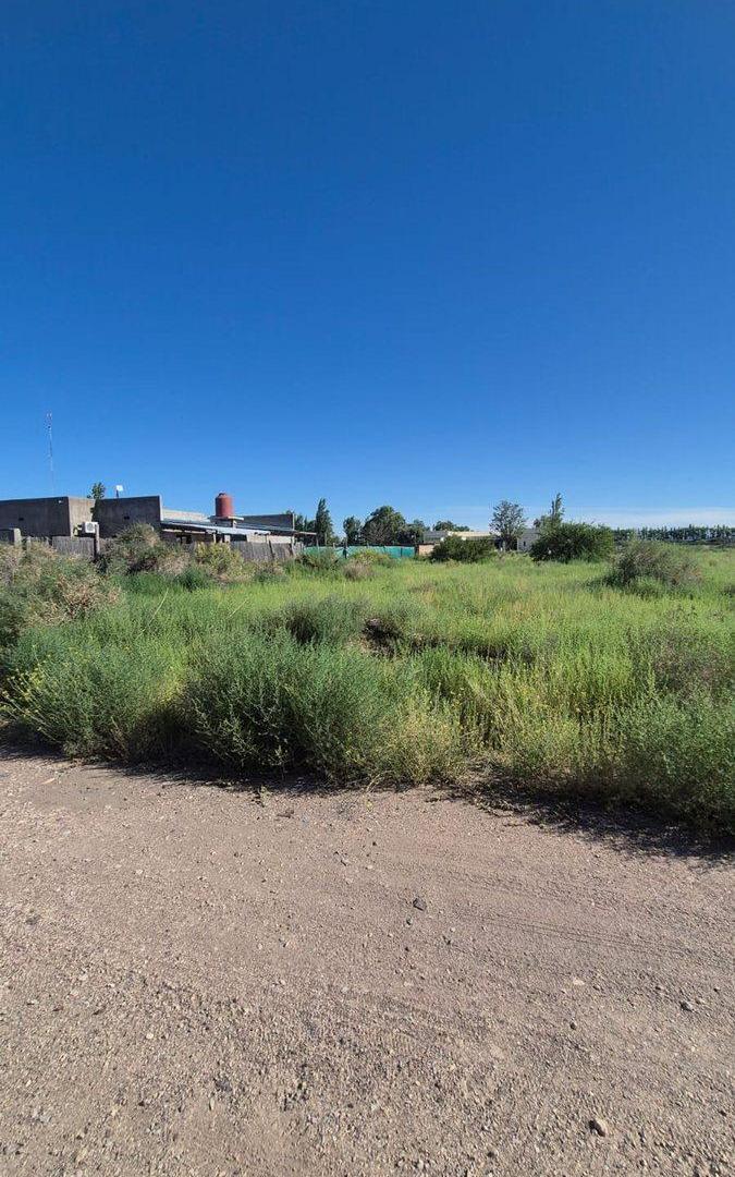 Foto de VENTA TERRENO 2000 m2 -LAS PAREDES - SAN RAFAEL, imagen 5