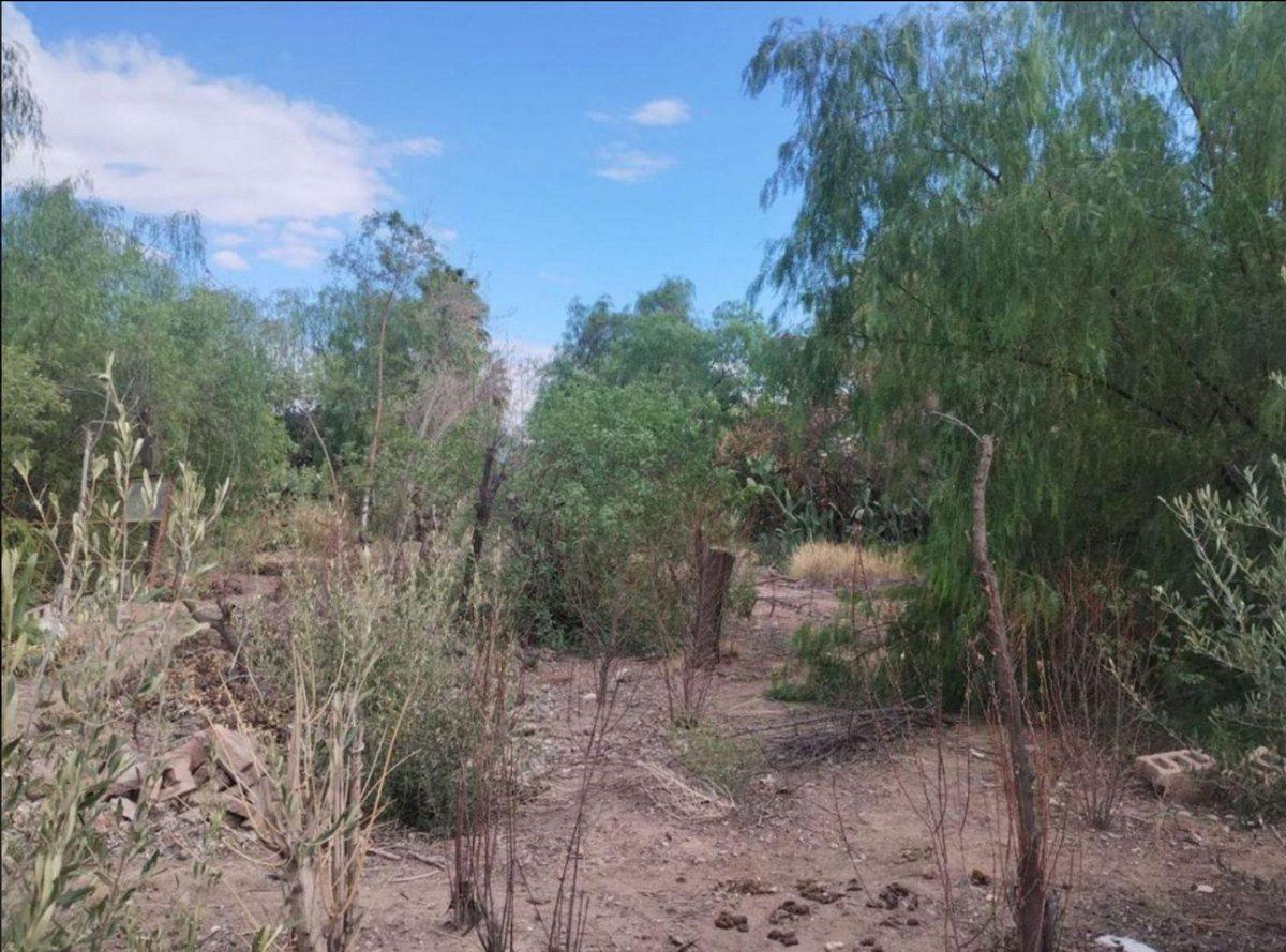 Foto de LOTE EN EL CENTRO DE MAIPU, imagen 2