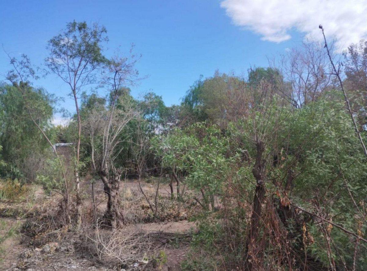 Foto de LOTE EN EL CENTRO DE MAIPU, imagen 5