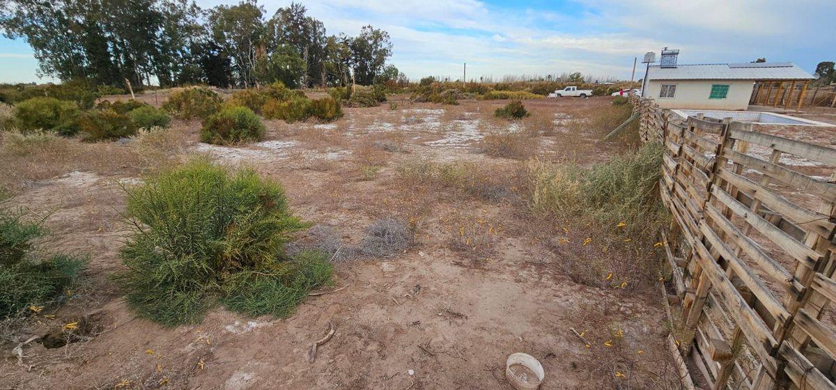 Foto de LOTE EN VENTA, imagen 1