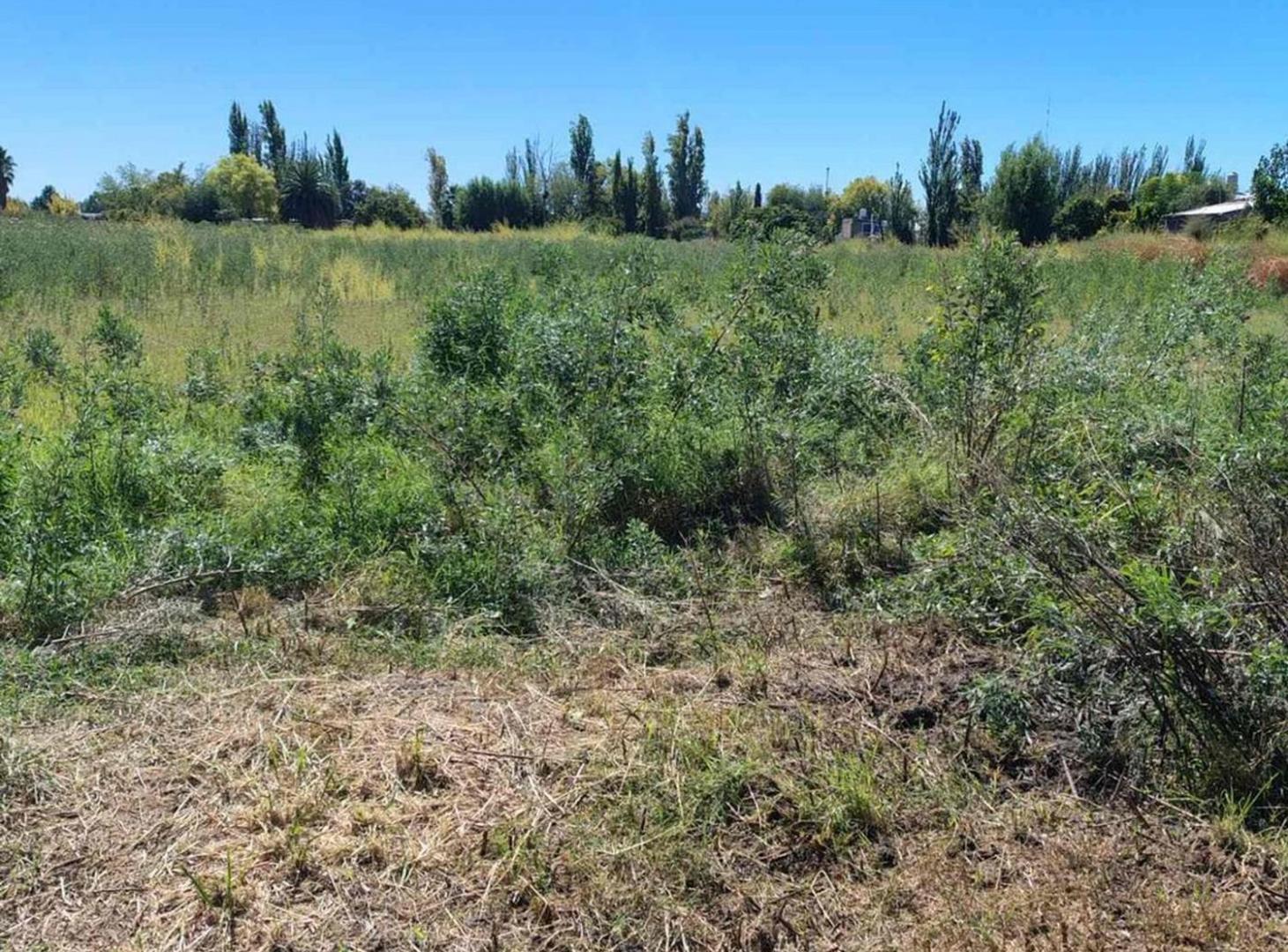 Foto de Terreno en venta, imagen 5