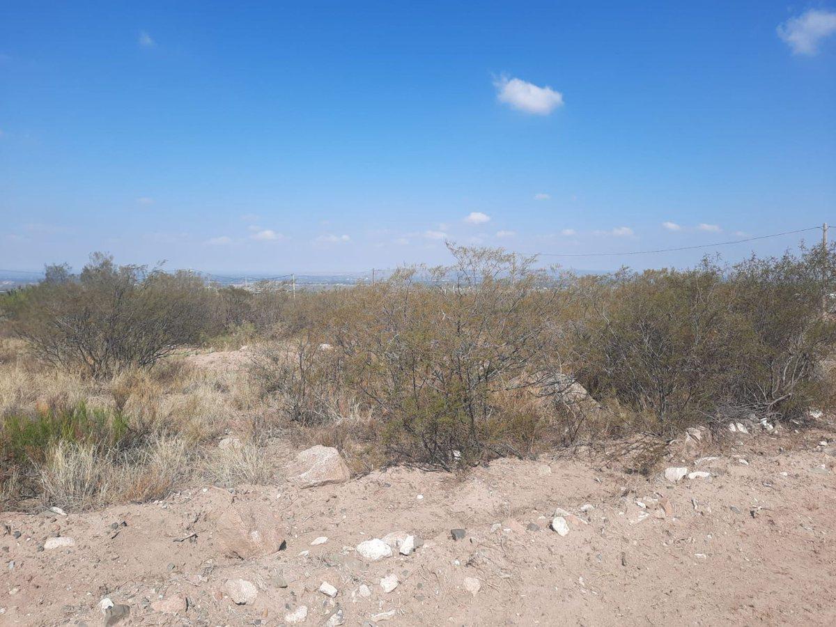 Foto de Lote en venta Bª La Magdalena Olivar Lujan de Cuyo, imagen 1