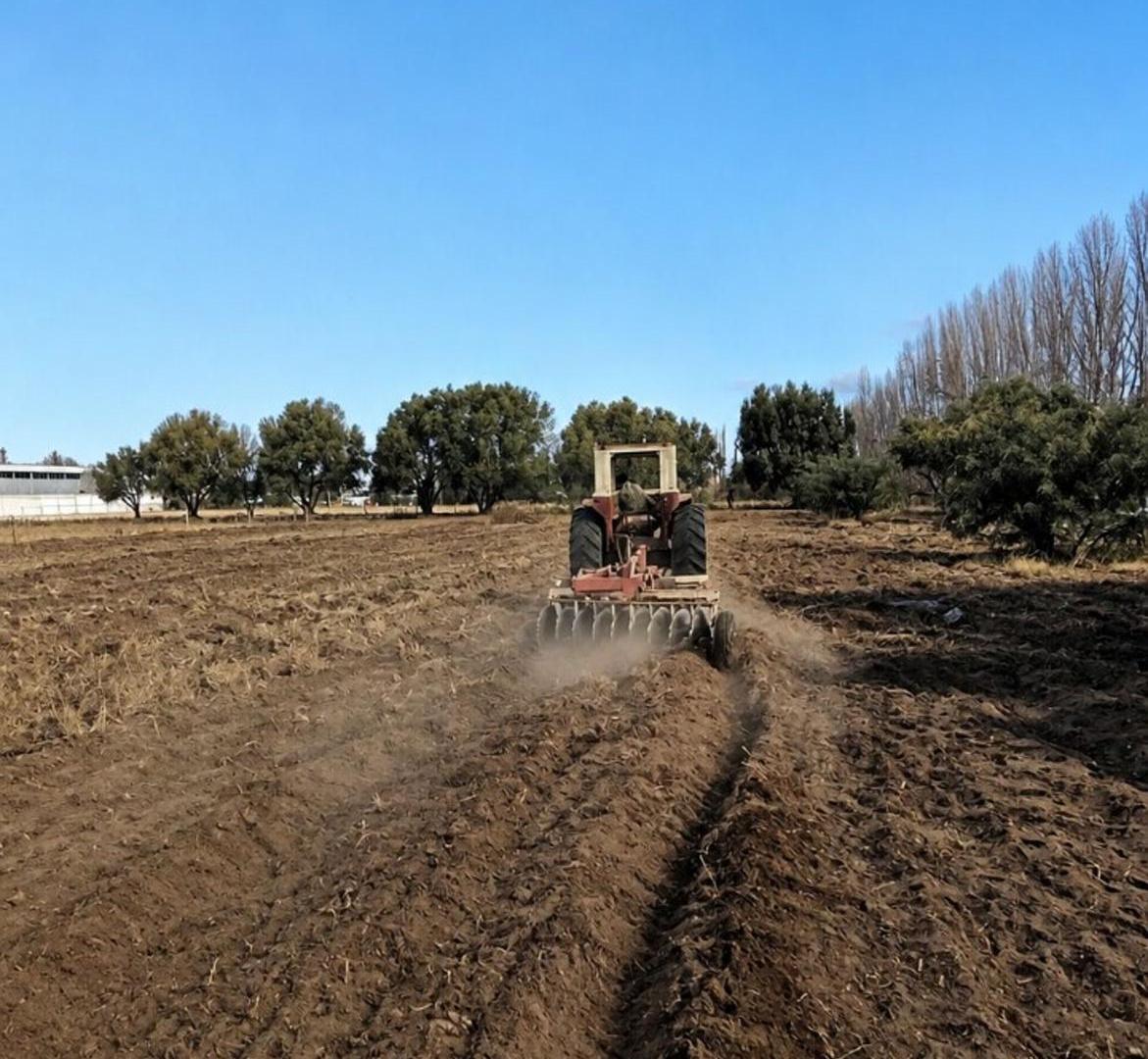 Foto de Terreno en venta Ruta 188 y Echeverria Gral Alvear, imagen 2