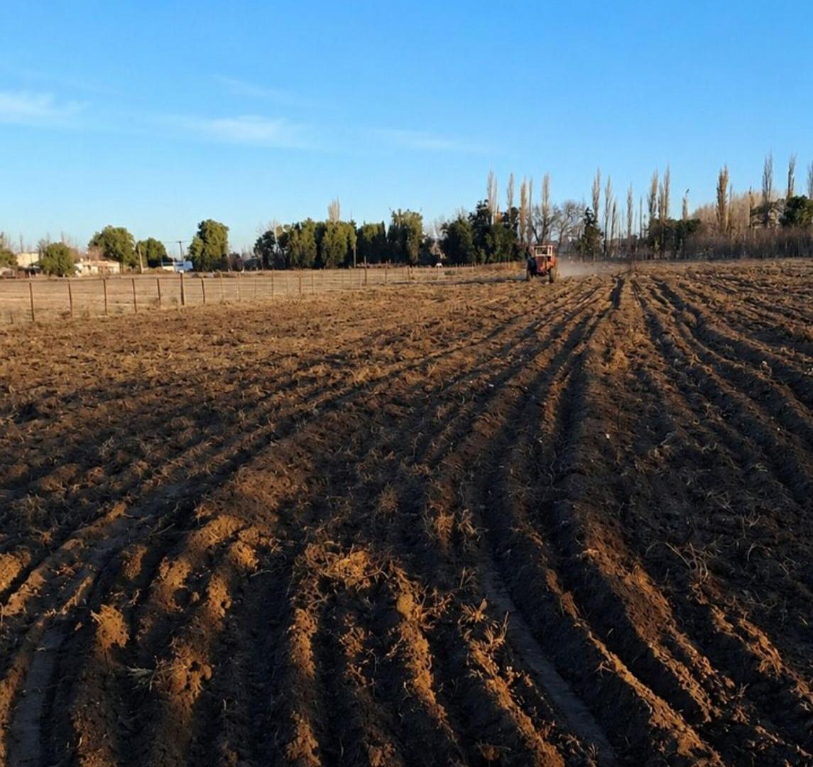 Foto de Terreno en venta Ruta 188 y Echeverria Gral Alvear, imagen 1