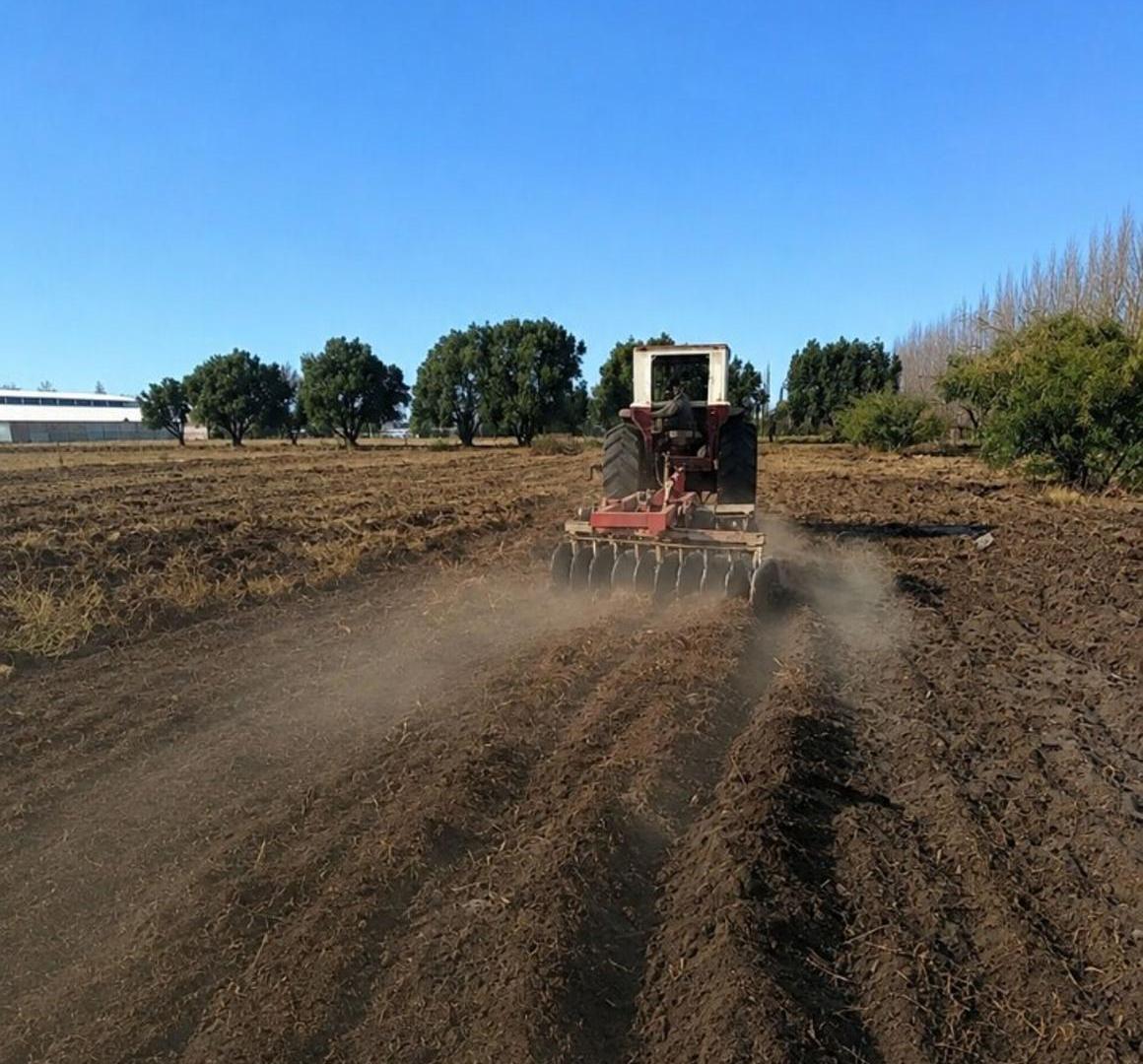 Foto de Terreno en venta Ruta 188 y Echeverria Gral Alvear, imagen 5