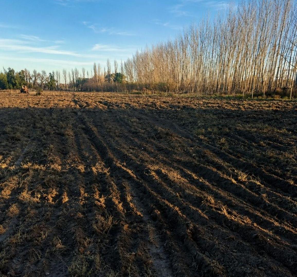 Foto de Terreno en venta Ruta 188 y Echeverria Gral Alvear, imagen 3