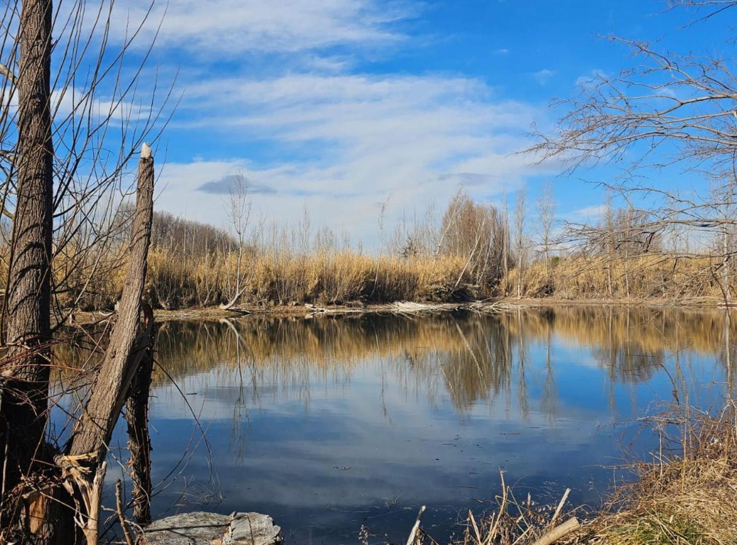 Foto de VENTA DE 16 HECTAREAS DE TERRENO CON LAGUNA, imagen 1