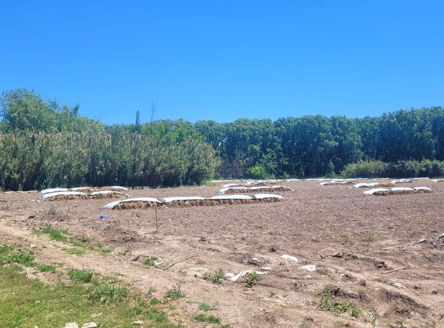 Foto de VENTA DE 16 HECTAREAS DE TERRENO CON LAGUNA, imagen 2