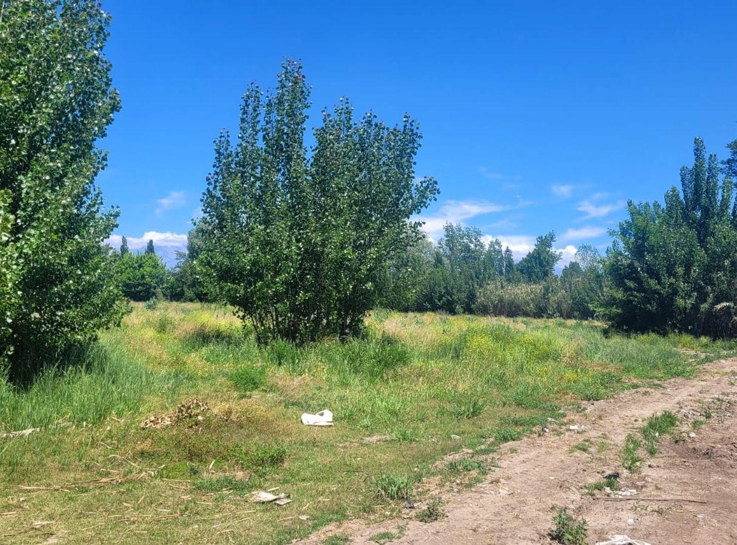 Foto de VENTA DE 16 HECTAREAS DE TERRENO CON LAGUNA, imagen 3
