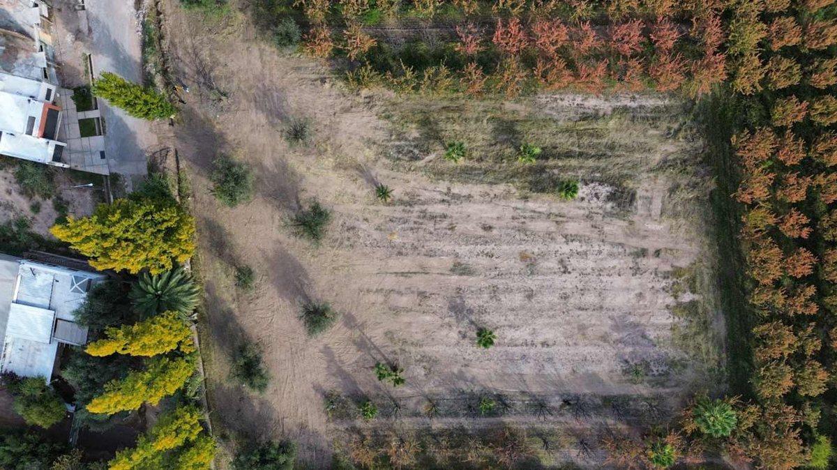 Foto de TERRENO EN VENTA LAS HERAS IDEAL DESARROLLO, imagen 1