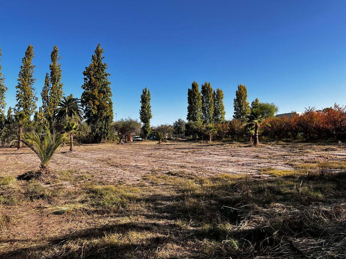 Foto de TERRENO EN VENTA LAS HERAS IDEAL DESARROLLO, imagen 5