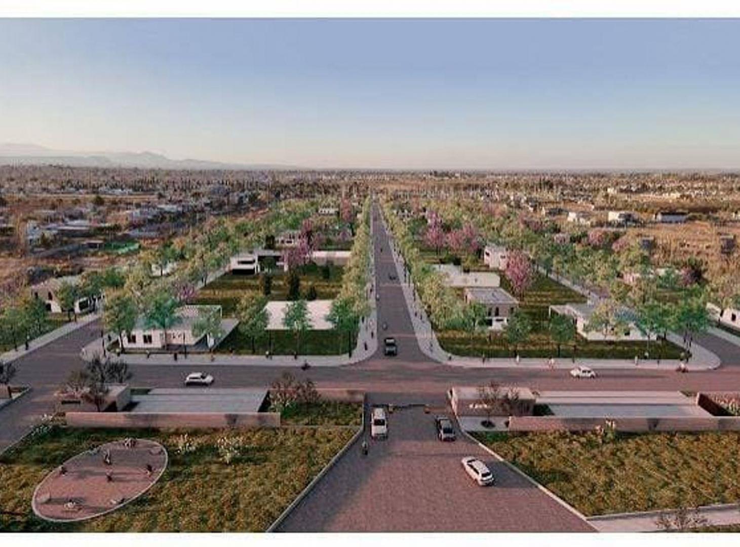 Foto de VENTA LOTE ACACIAS MALABIA 300 MTS, imagen 3