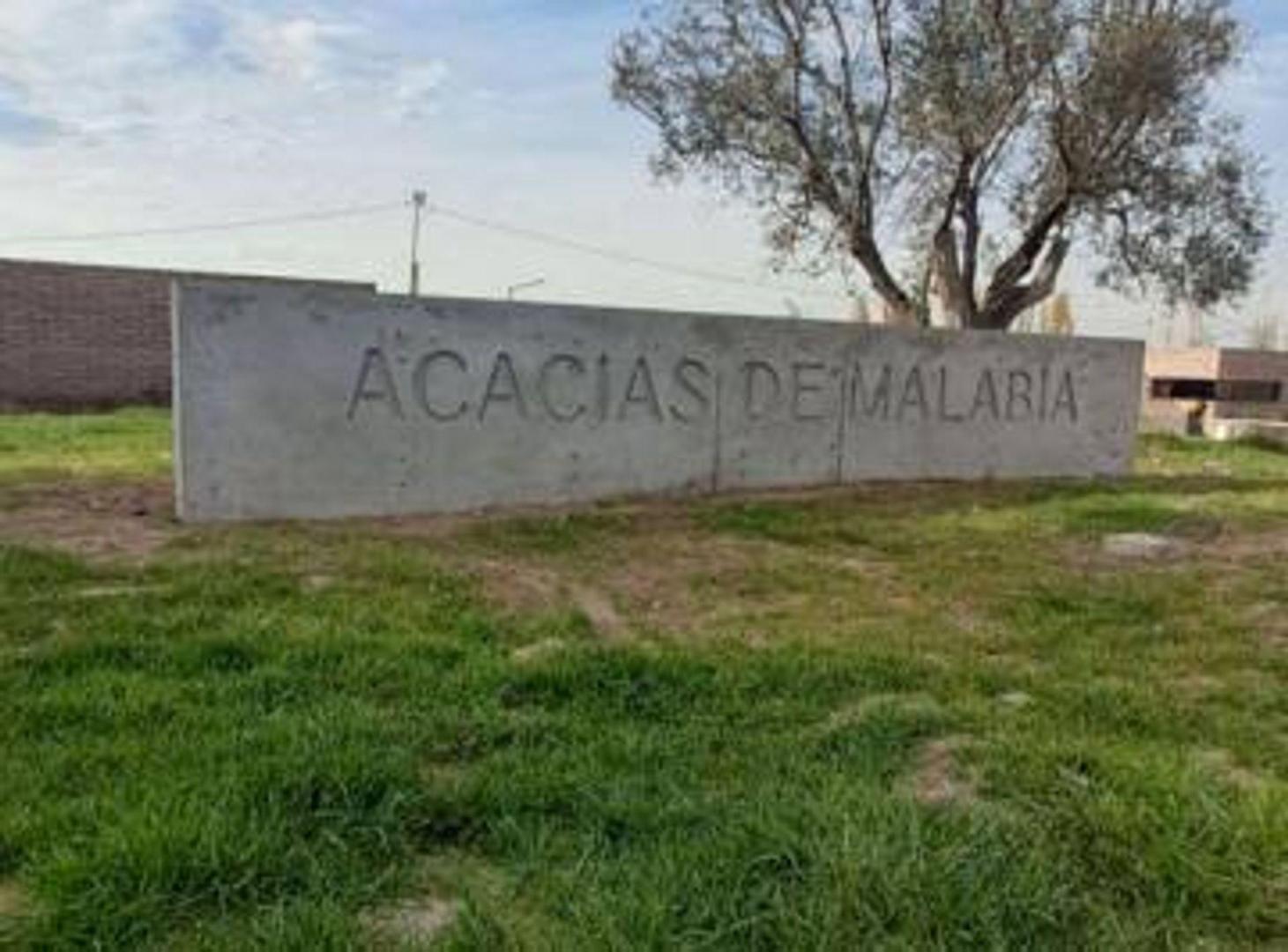 Foto de VENTA LOTE ACACIAS MALABIA 300 MTS, imagen 1
