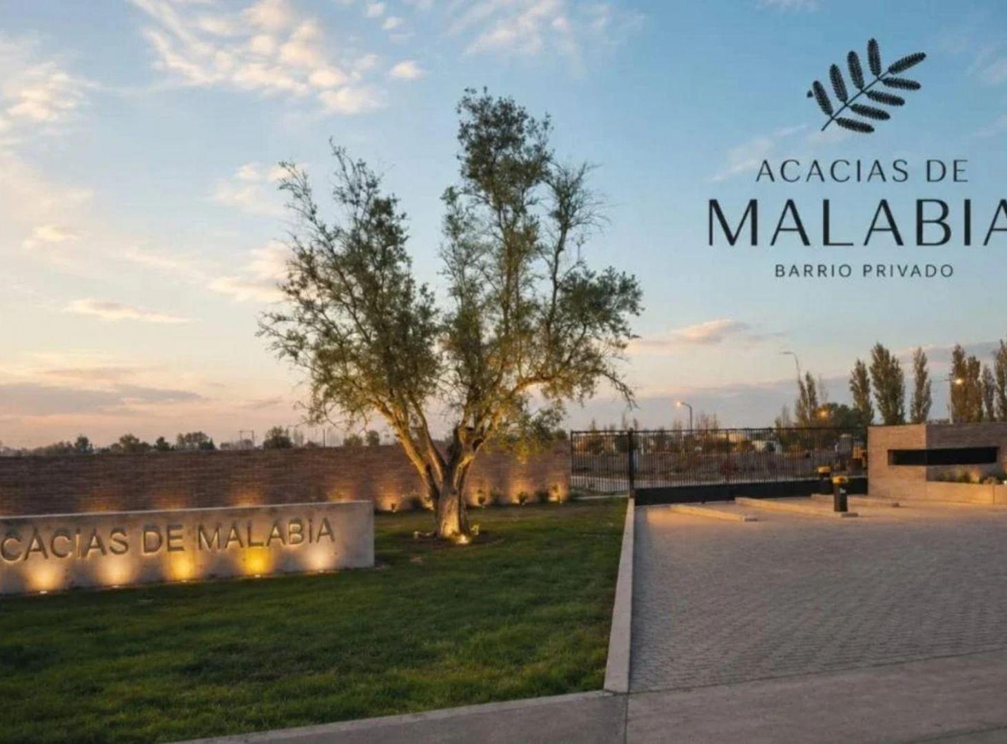 Foto de VENTA LOTE ACACIAS MALABIA 300 MTS, imagen 2