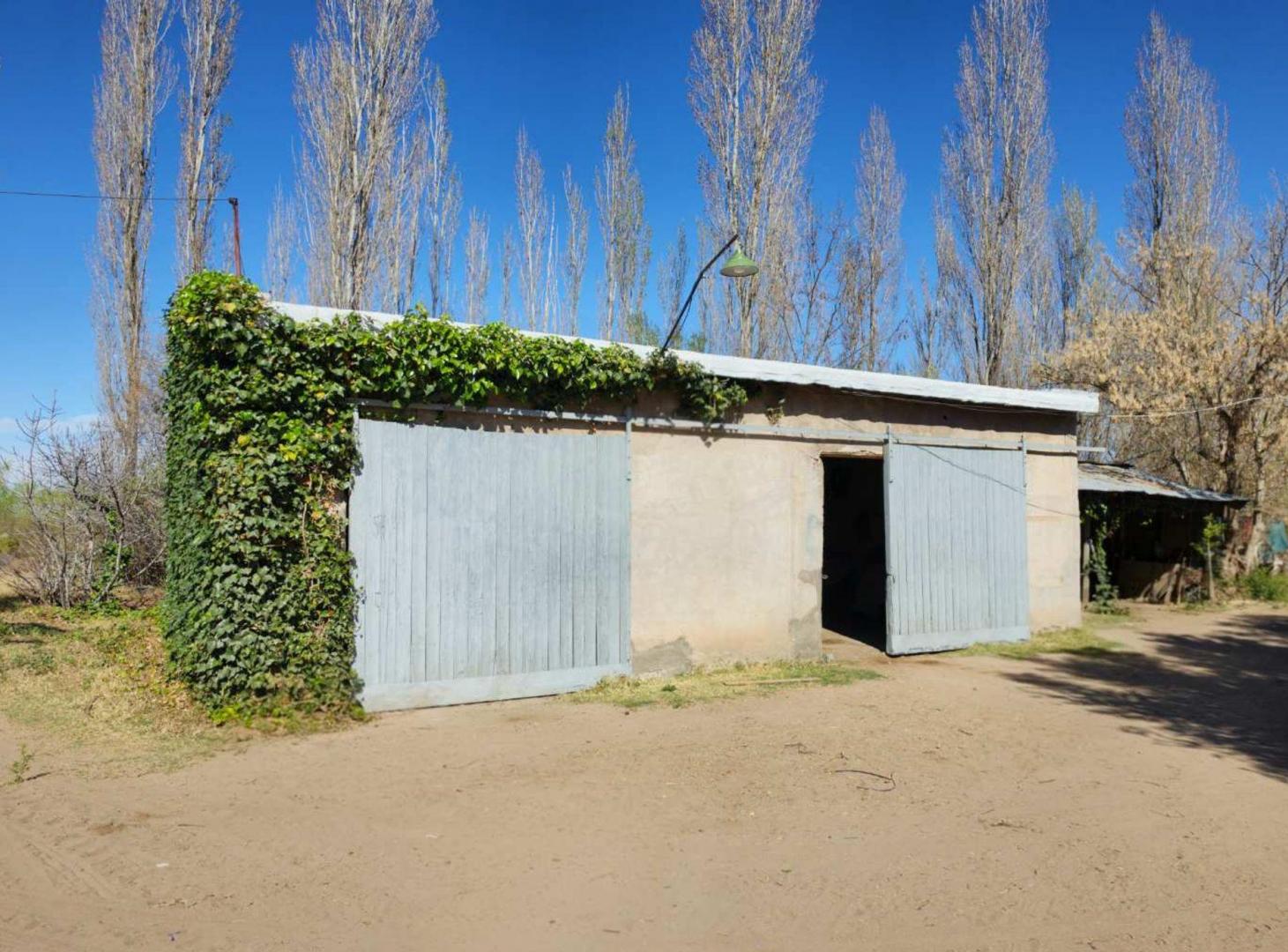 Foto de VENTA FINCA EN EXCELENTES CONDICIONES SAN RAFAEL, imagen 5