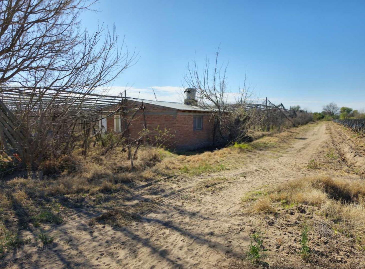 Foto de VENTA FINCA EN EXCELENTES CONDICIONES SAN RAFAEL, imagen 4