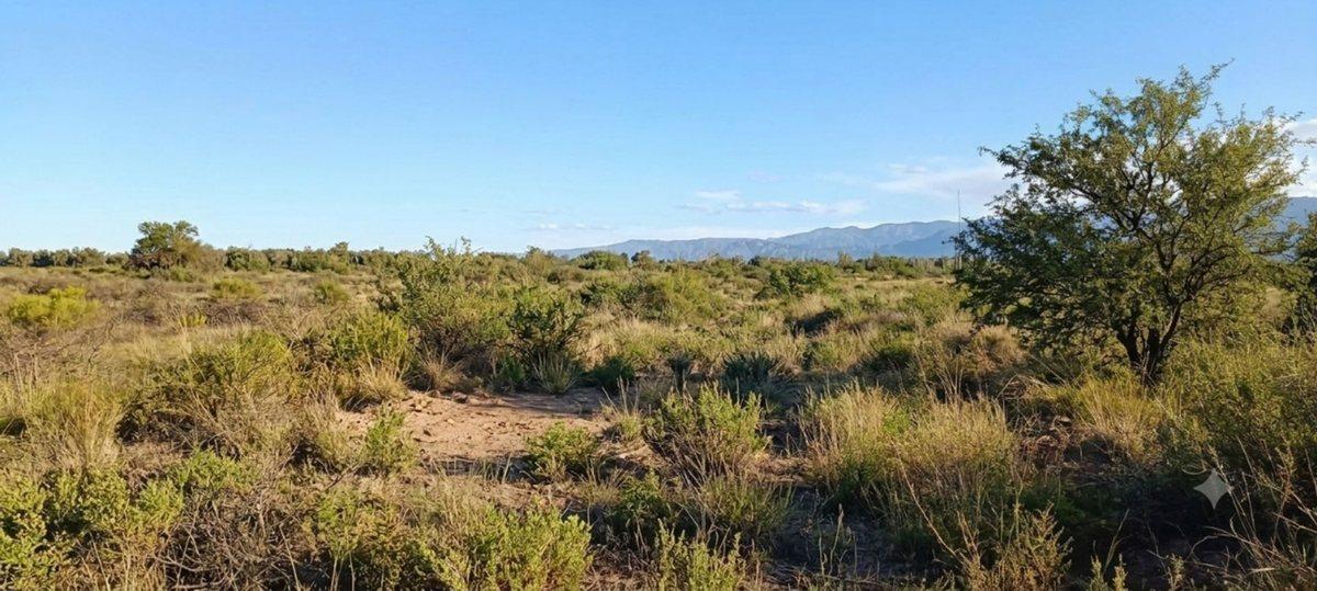 Foto de Venta Terreno Inculto San Martin con pozo, imagen 3