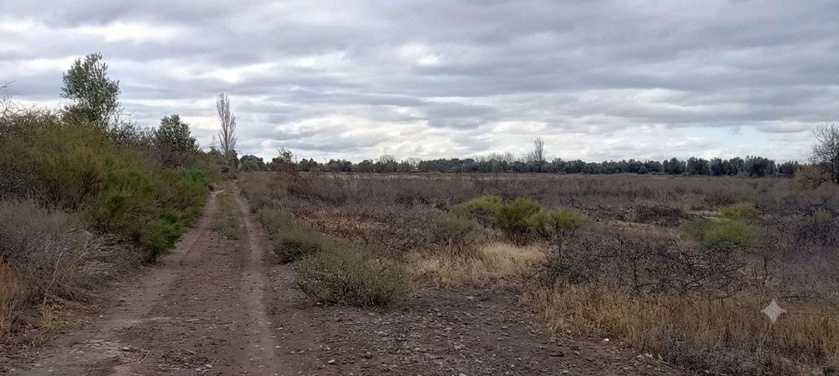 Foto de Venta Terreno Inculto San Martin con pozo, imagen 1
