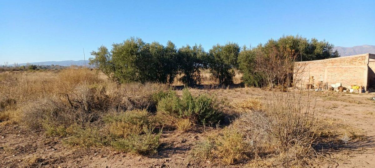 Foto de Venta Terreno Inculto San Martin con pozo, imagen 2