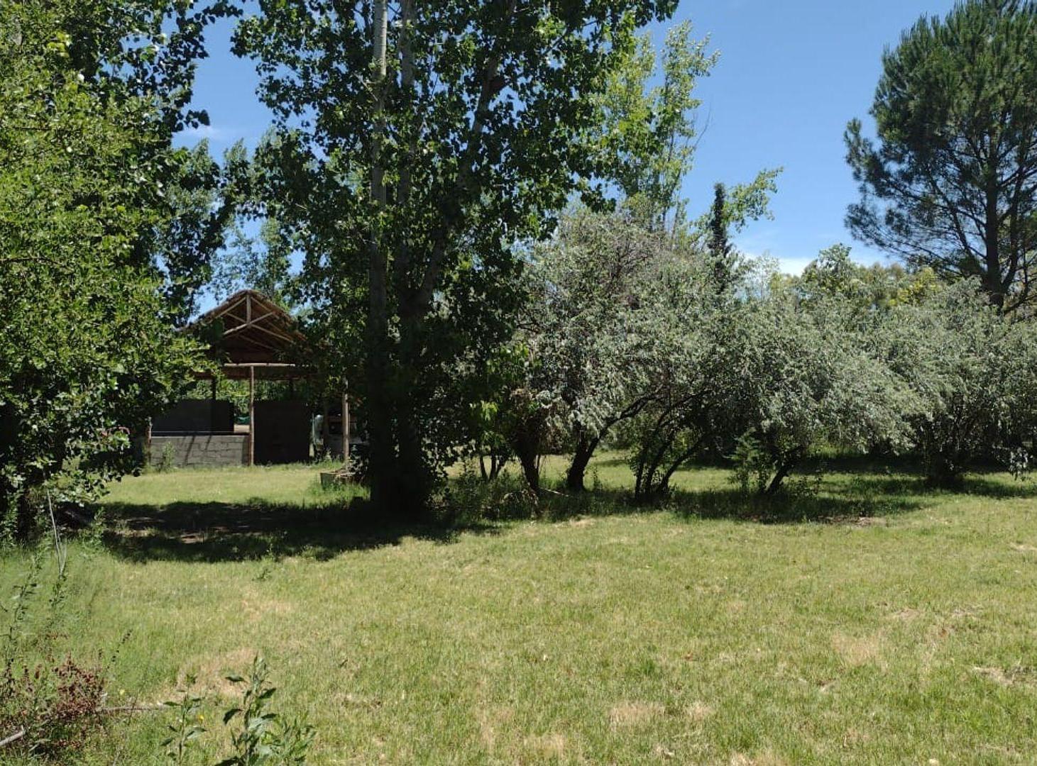 Foto de VENTA TERRENO Y QUINCHO EN SAN RAFAEL MENDOZA, imagen 5