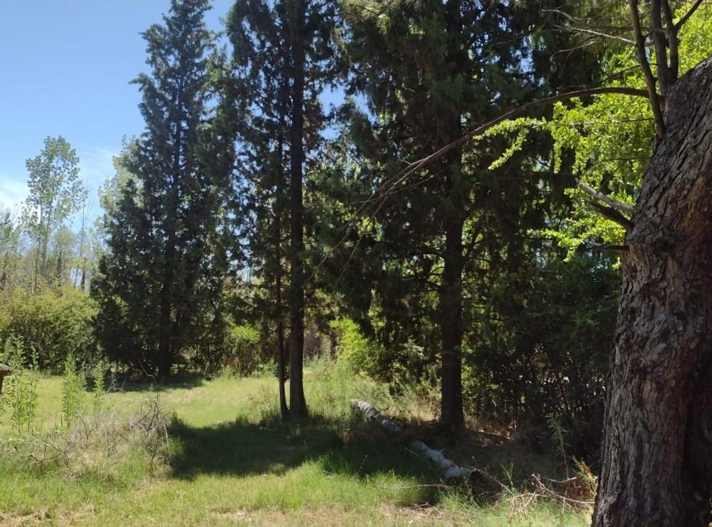Foto de VENTA TERRENO Y QUINCHO EN SAN RAFAEL MENDOZA, imagen 4