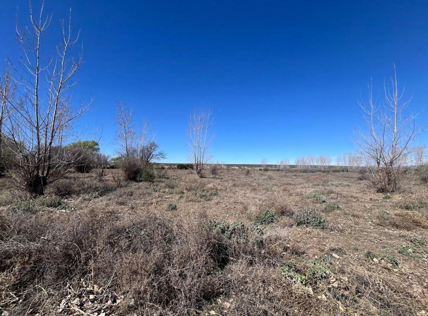 Foto de Venta de terreno de 5 hectarias y media en Tunuyan, imagen 4