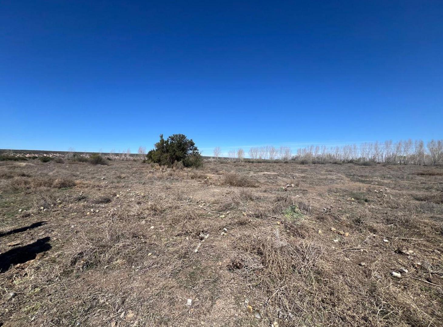 Foto de Venta de terreno de 5 hectarias y media en Tunuyan, imagen 5