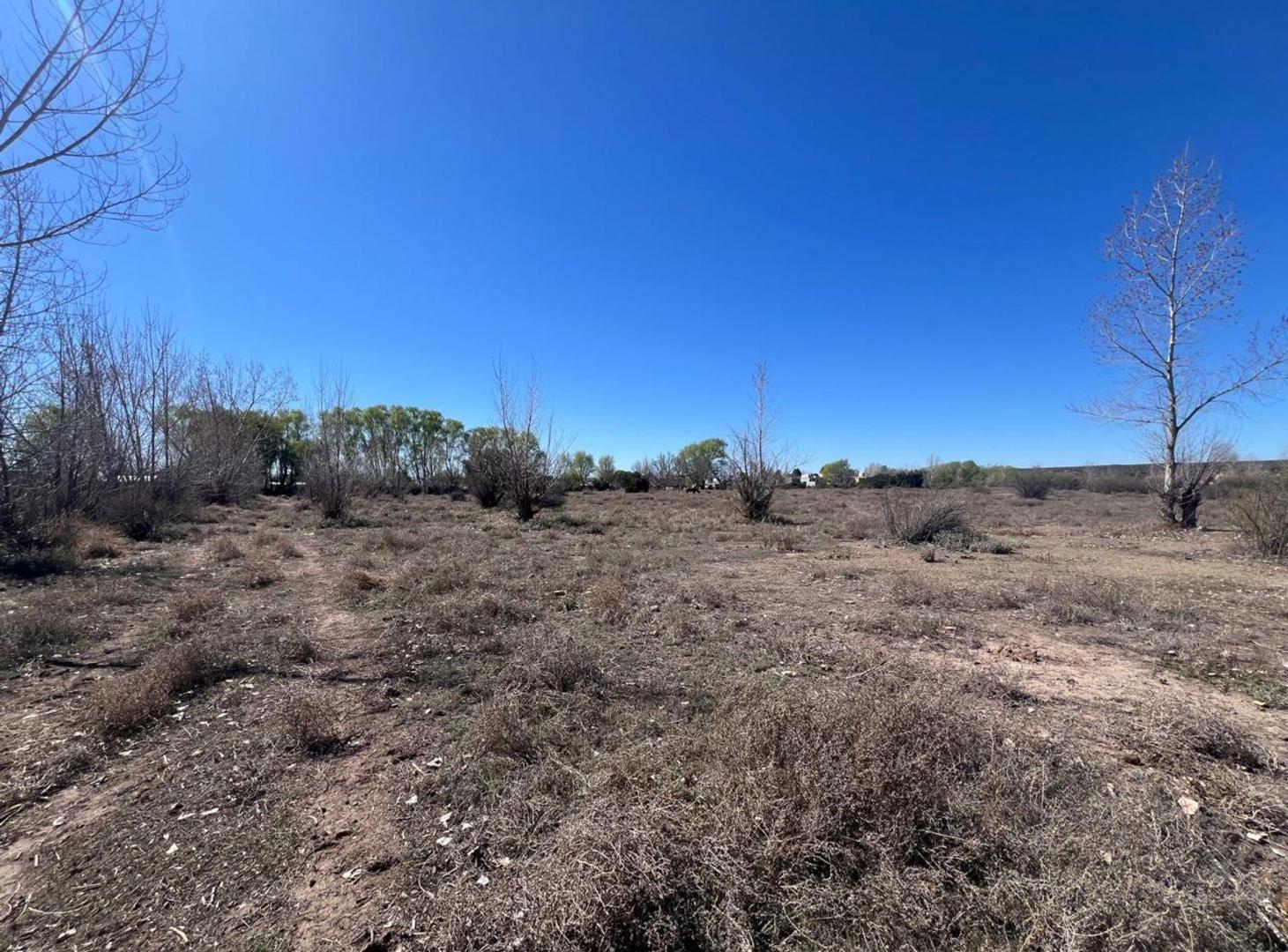 Foto de Venta de terreno de 5 hectarias y media en Tunuyan, imagen 3