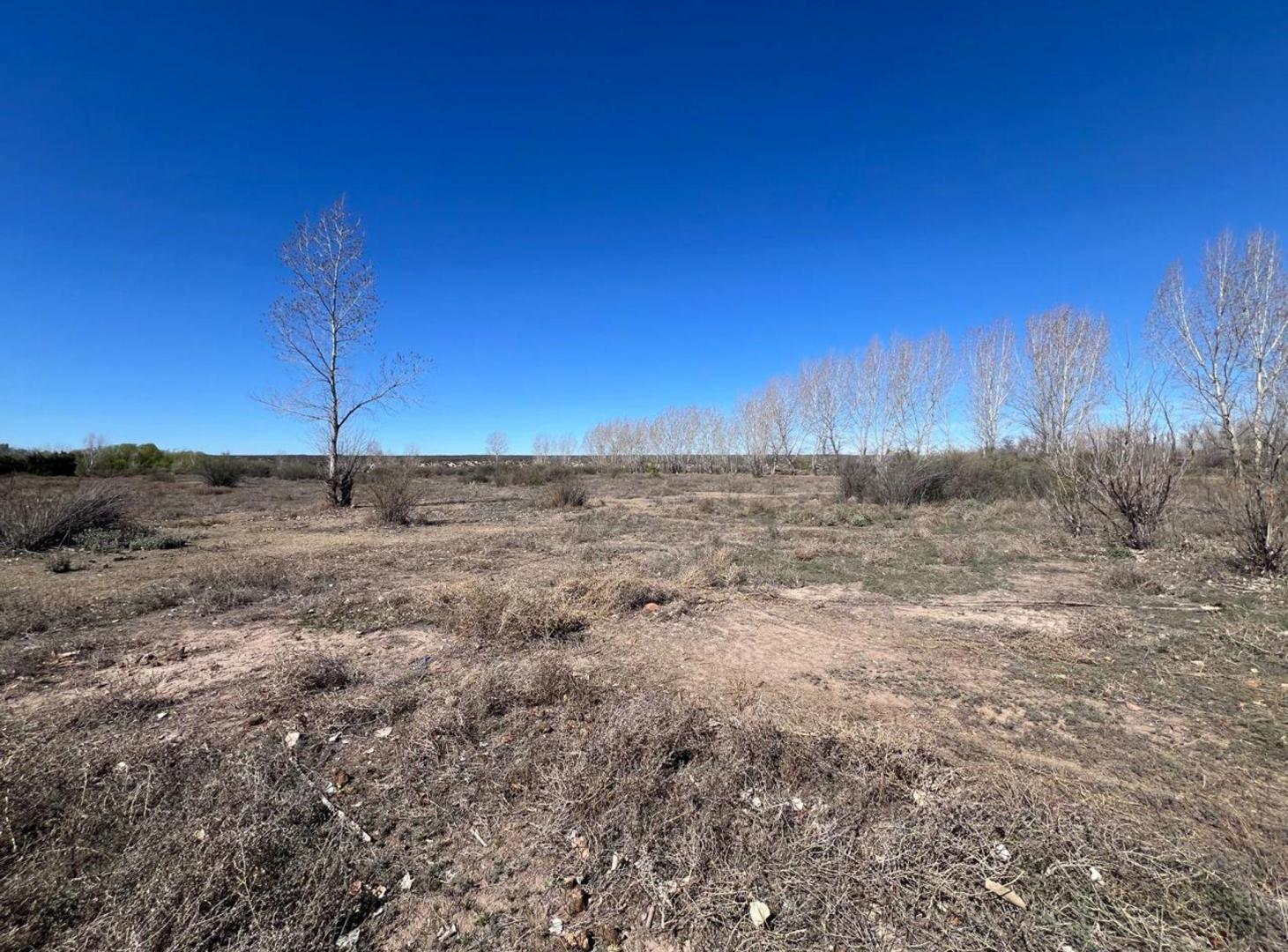 Foto de Venta de terreno de 5 hectarias y media en Tunuyan, imagen 2