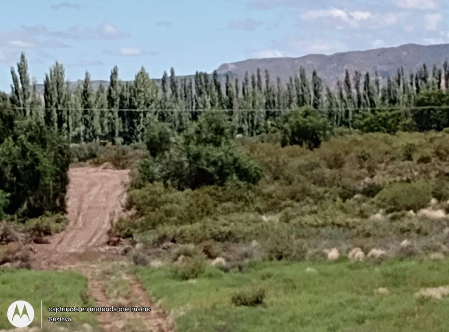 Foto de VENTA FINCA CON GALPON CUADRO BENEGAS SAN RAFAEL, imagen 2