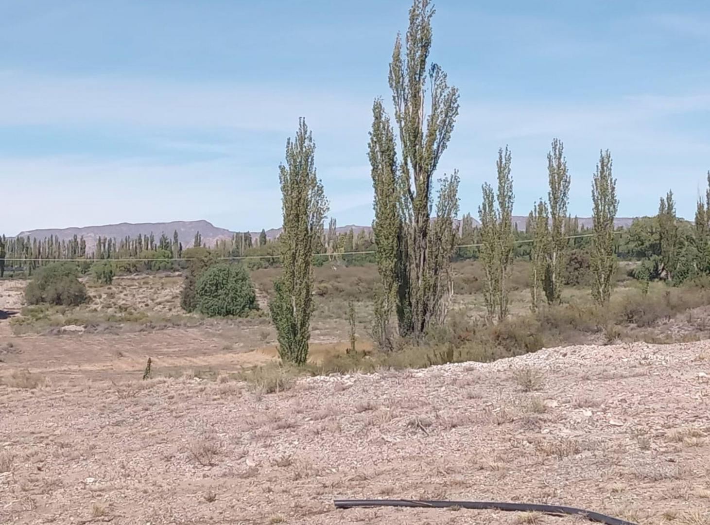 Foto de VENTA FINCA CON GALPON CUADRO BENEGAS SAN RAFAEL, imagen 5