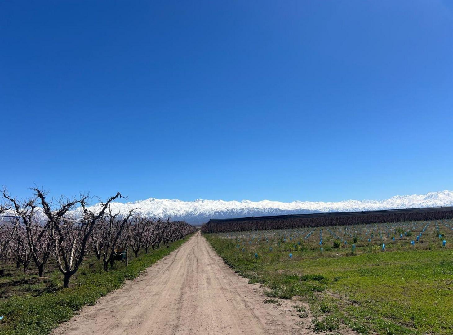 Foto de Venta de Finca con producción de duraznos, imagen 3