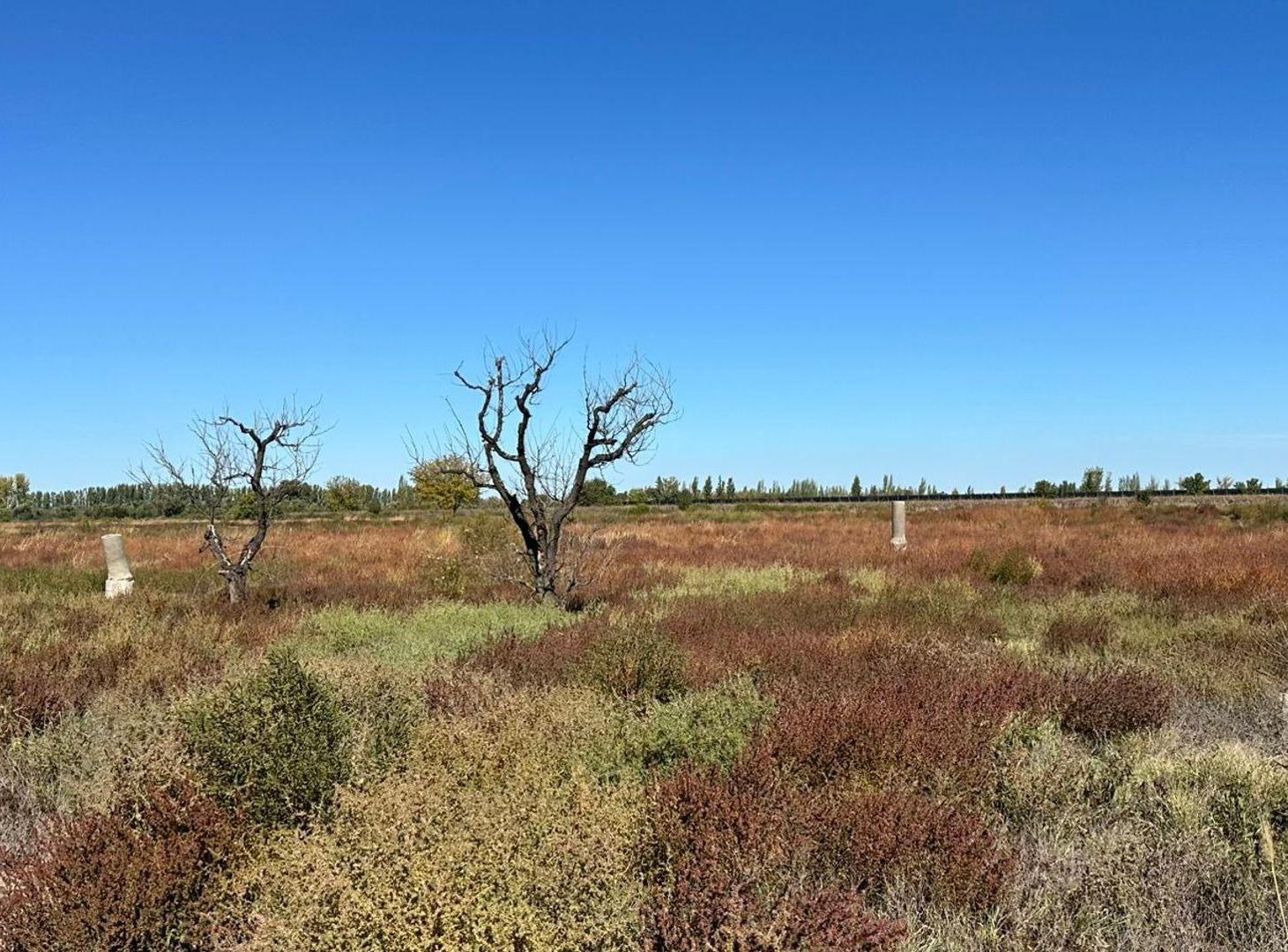 Foto de FINCA EN VENTA EN SAN MARTIN DE 37 HECTAREAS, imagen 5