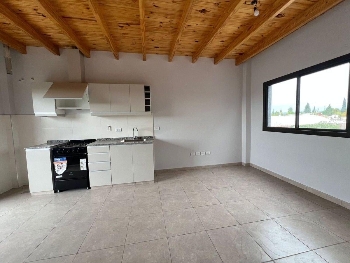Foto de DEPARTAMENTO 1 DORMITORIO 1 ESCRITORIO LAS CAÑAS, imagen 1