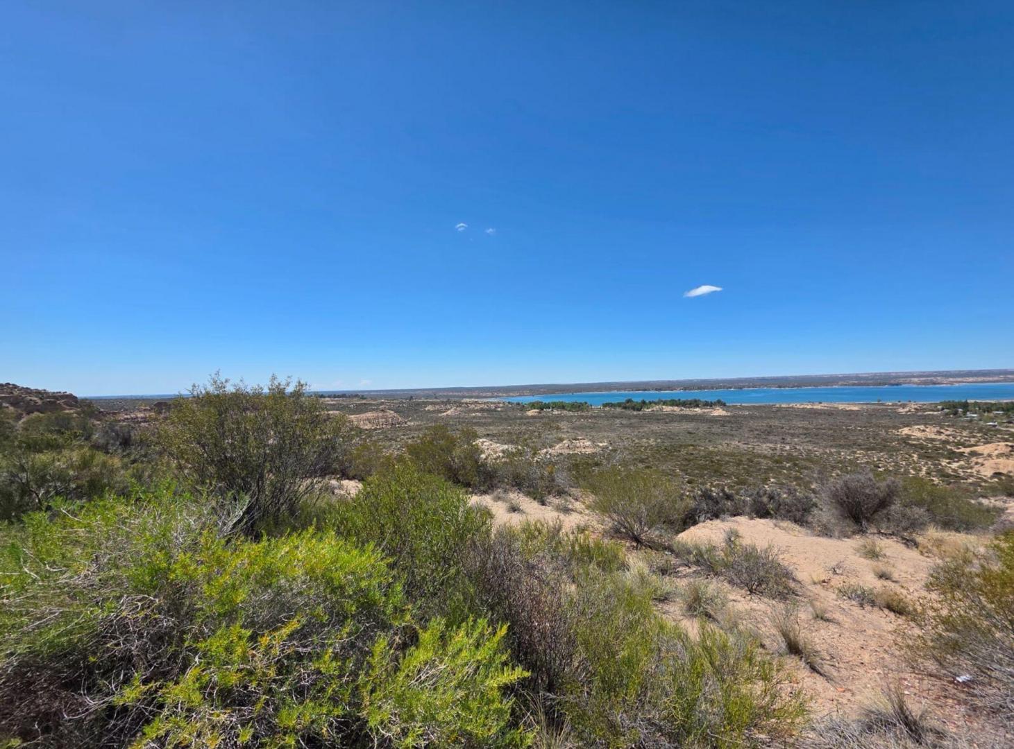 Foto de Venta de gran terreno -El Carrizal- Lujan de Cuyo, imagen 2