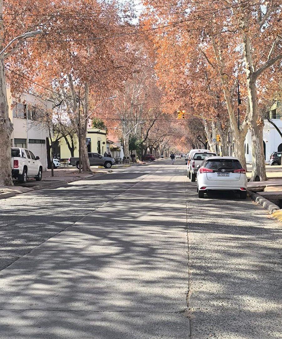 Foto de Remax Vende Piso en 5ta seccion Mendoza, imagen 4