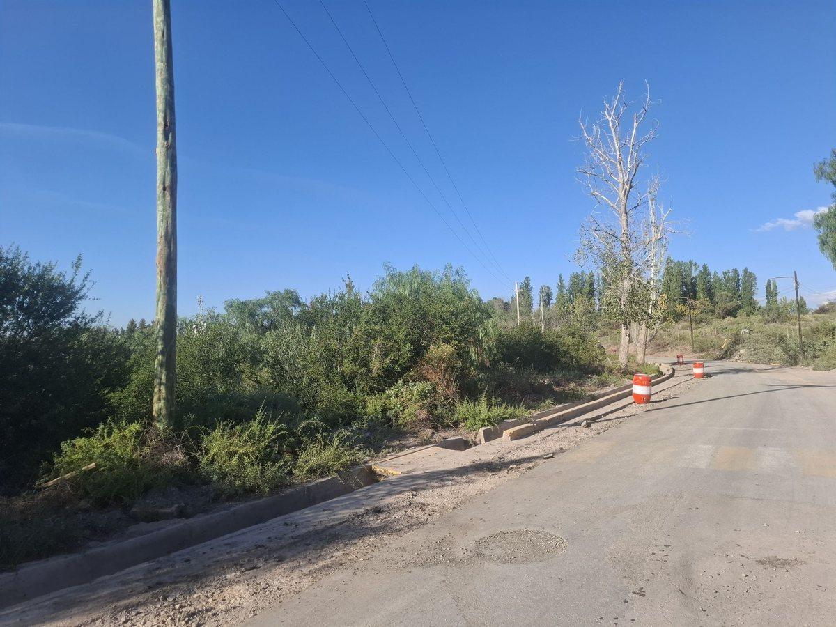 Foto de VENTA GRAN TERRENO 1,5 HA CON POTENCIAL LAS HERAS, imagen 5