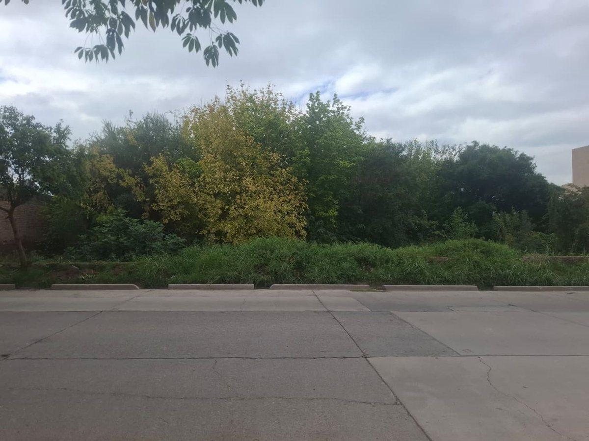 Foto de VENTA GRAN TERRENO 3000 M2 NVERSION LAS HERAS, imagen 1