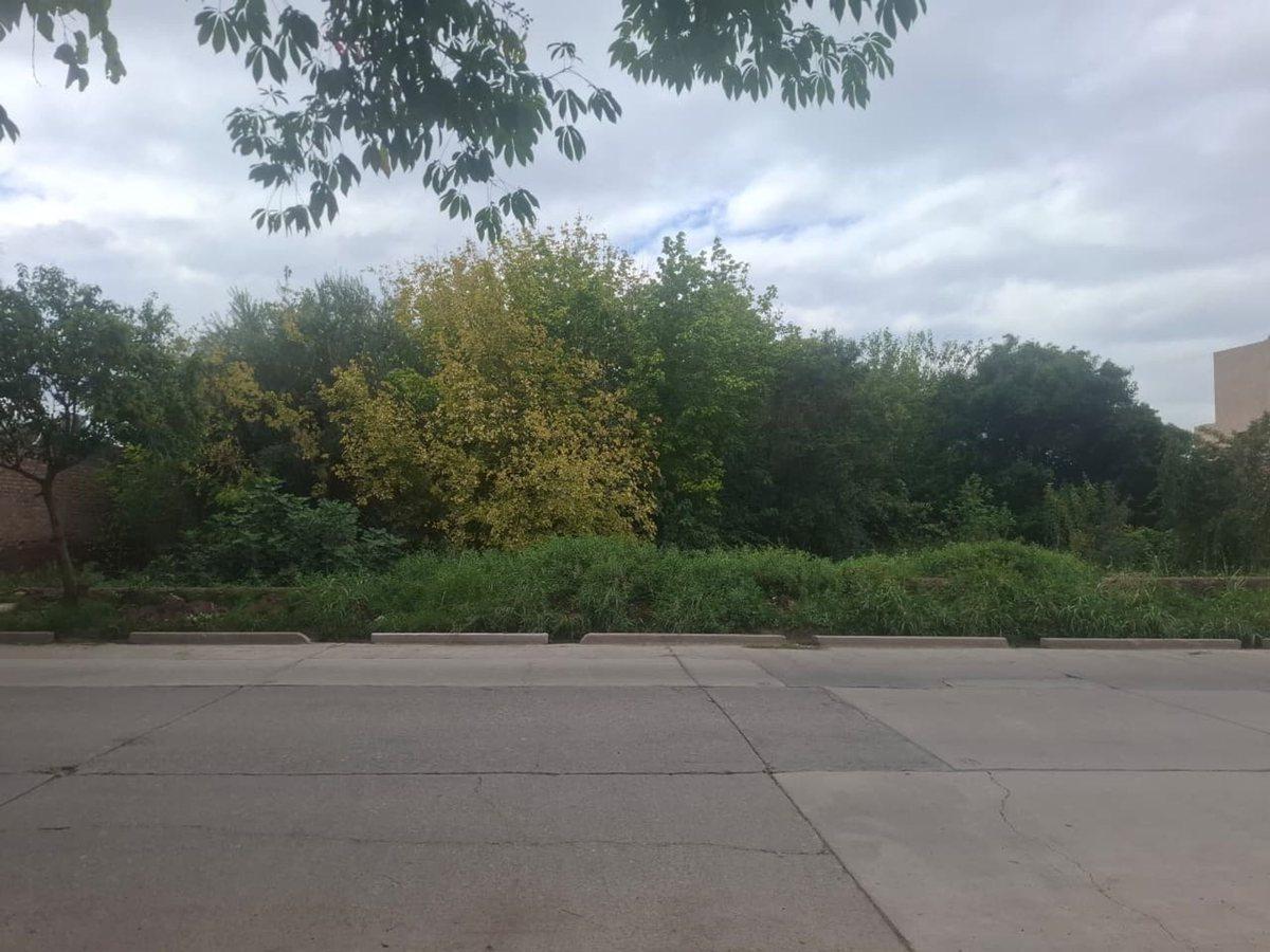 Foto de VENTA GRAN TERRENO 3000 M2 NVERSION LAS HERAS, imagen 2