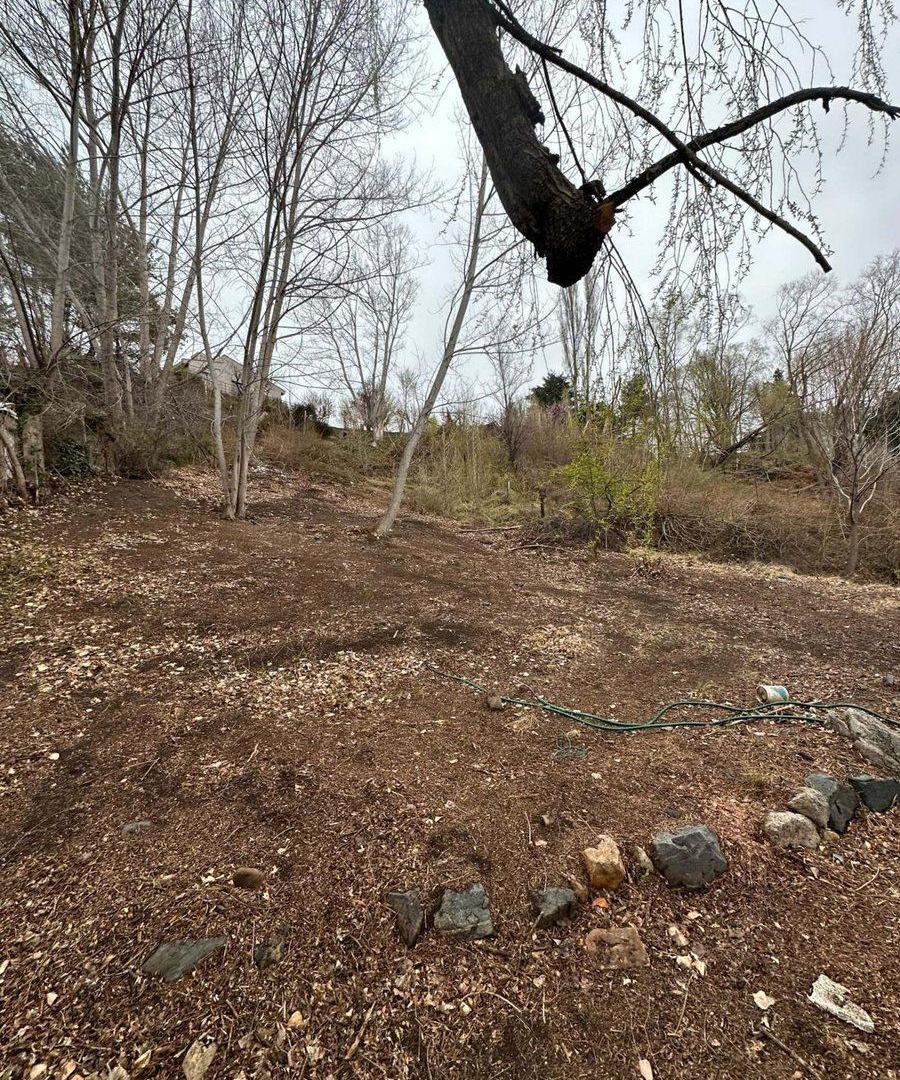 Foto de Venta de Lote en Potrerillos, imagen 3