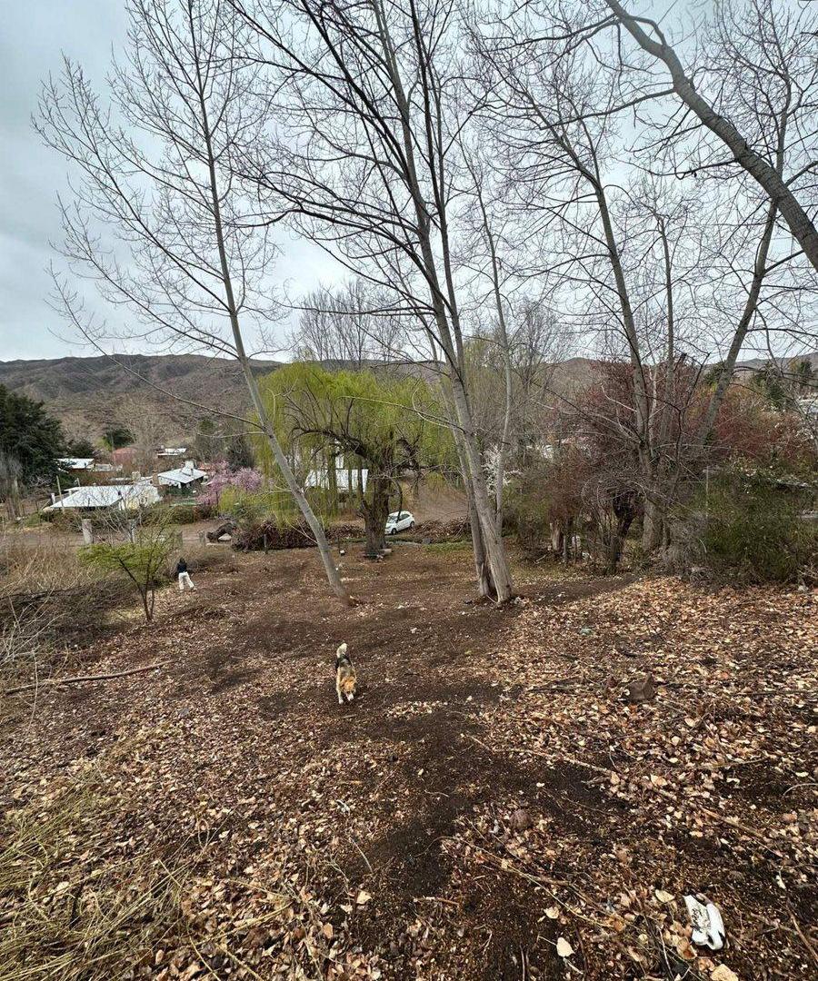 Foto de Venta de Lote en Potrerillos, imagen 4
