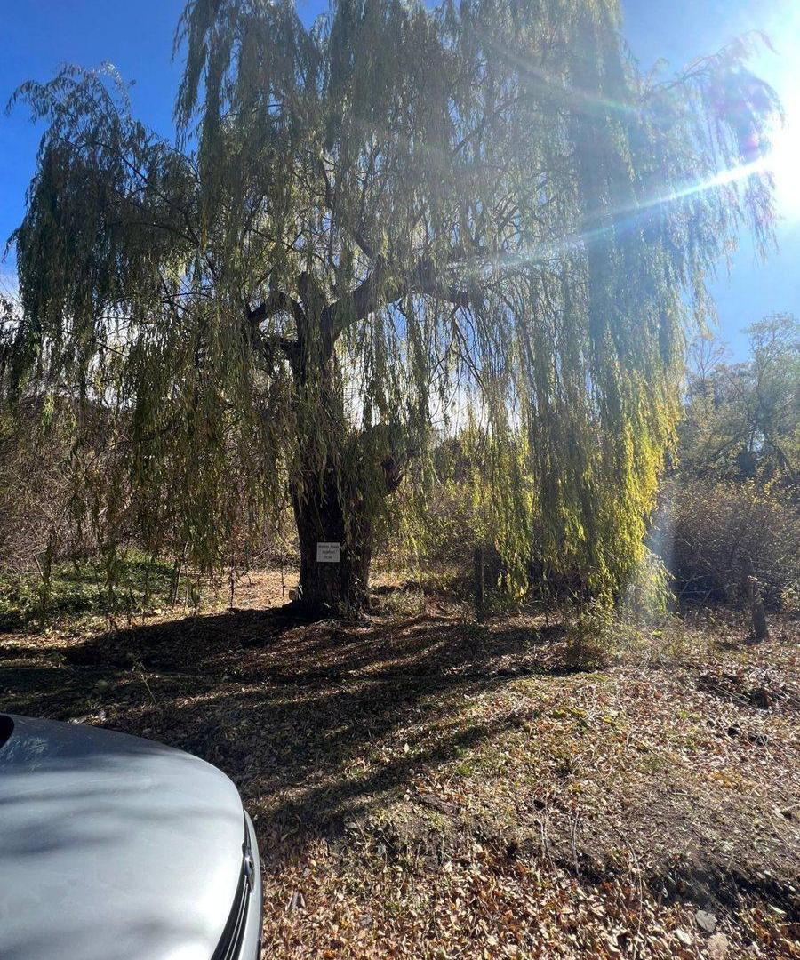 Foto de Venta de Lote en Potrerillos, imagen 1