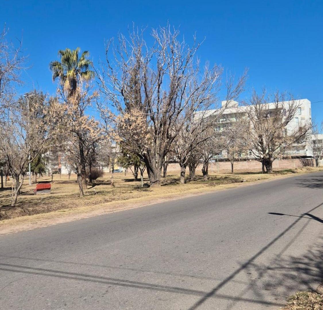 Foto de VENTA TERRENO –COOP. SIERRA PINTADA -SAN RAFAEL, imagen 4