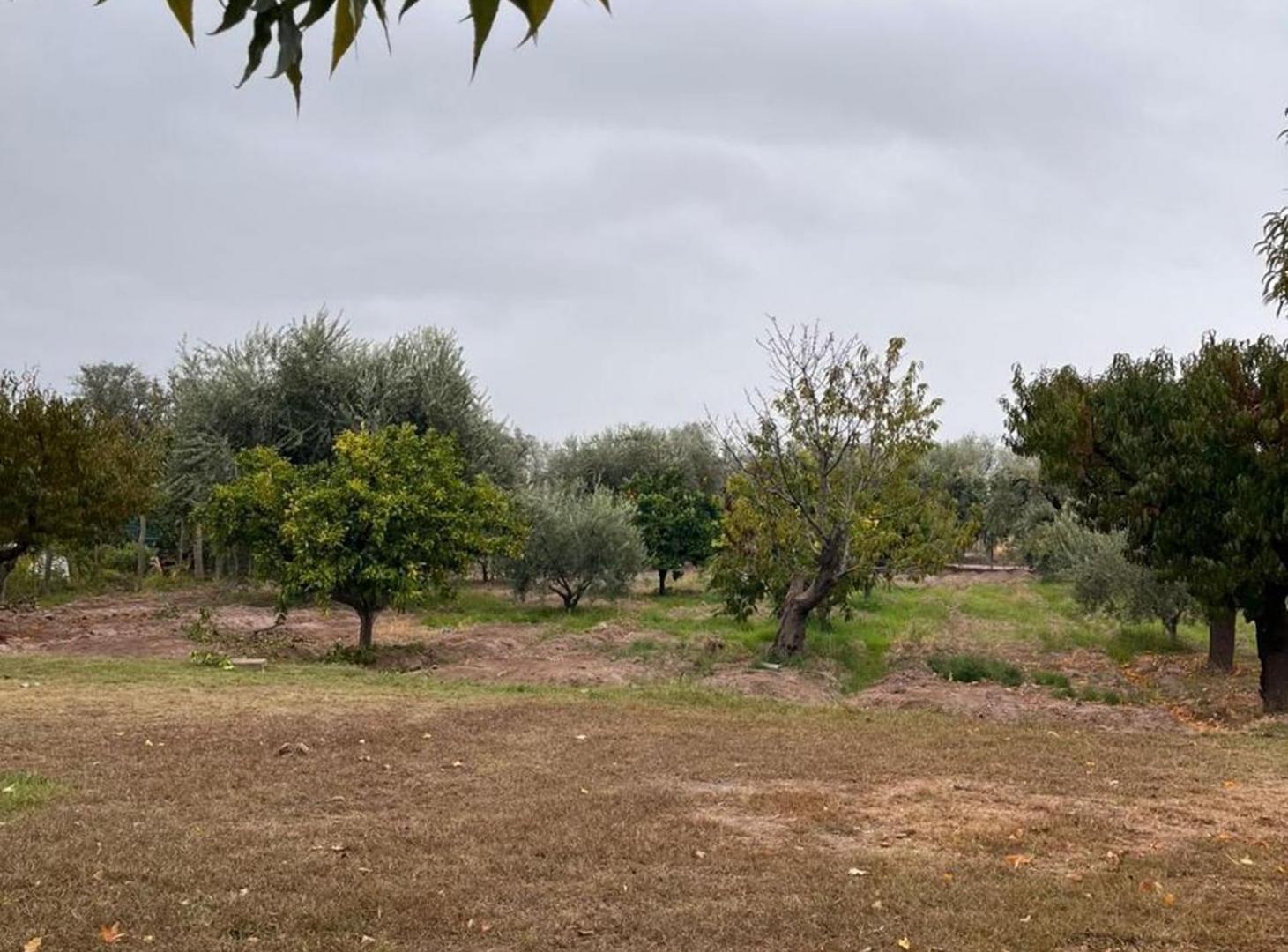 Foto de QUINTA EN VENTA, imagen 3