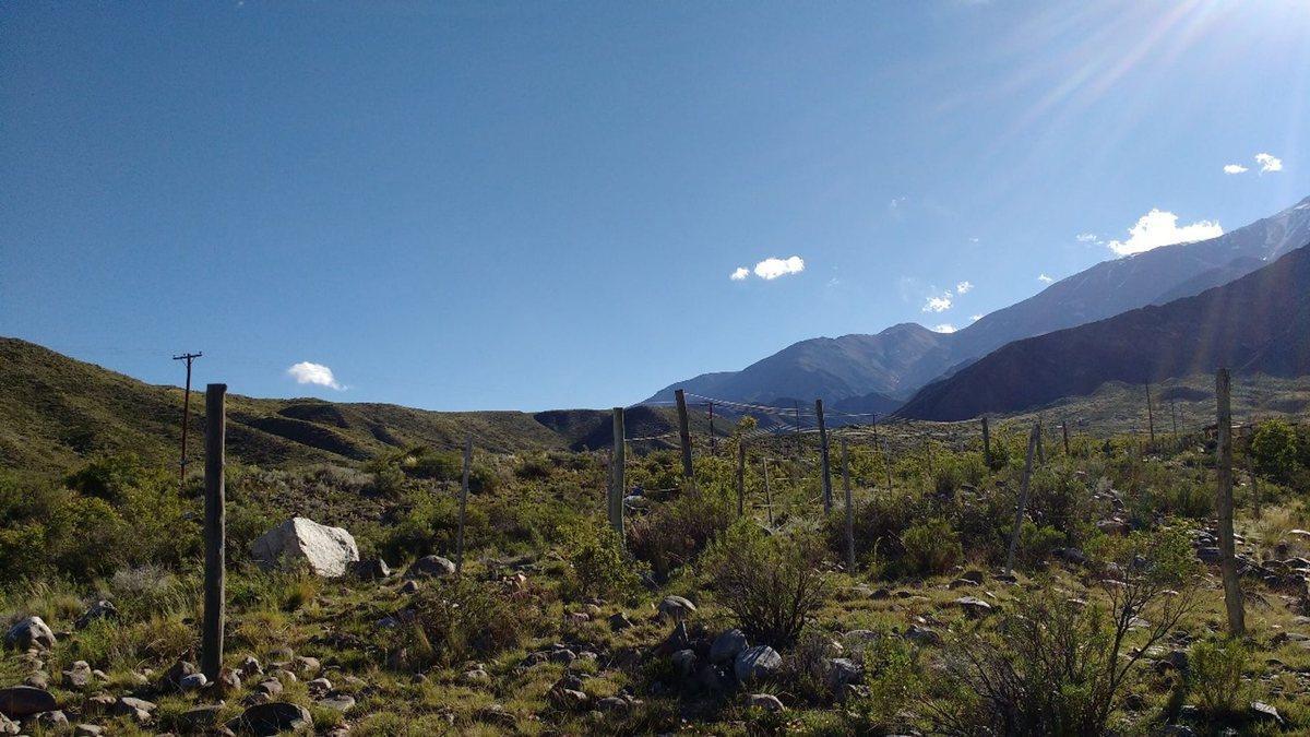 Foto de LOTE EN VENTA POTRERILLOS MENDOZA, imagen 3