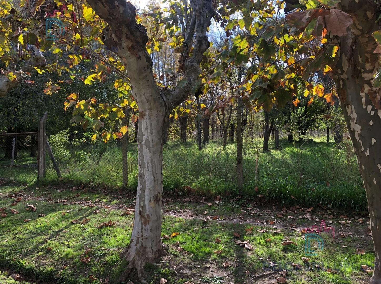Foto de Terreno de 11.250 m² con salida navegable al Río Luján – Dique Luján, imagen 3